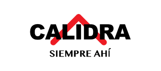 VIVA! La Startup - Agencia de Publicidad en Mexico